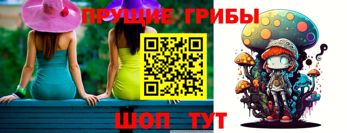 Кировск  Галлюциногенные грибы Cubensis  Вход с VPN 